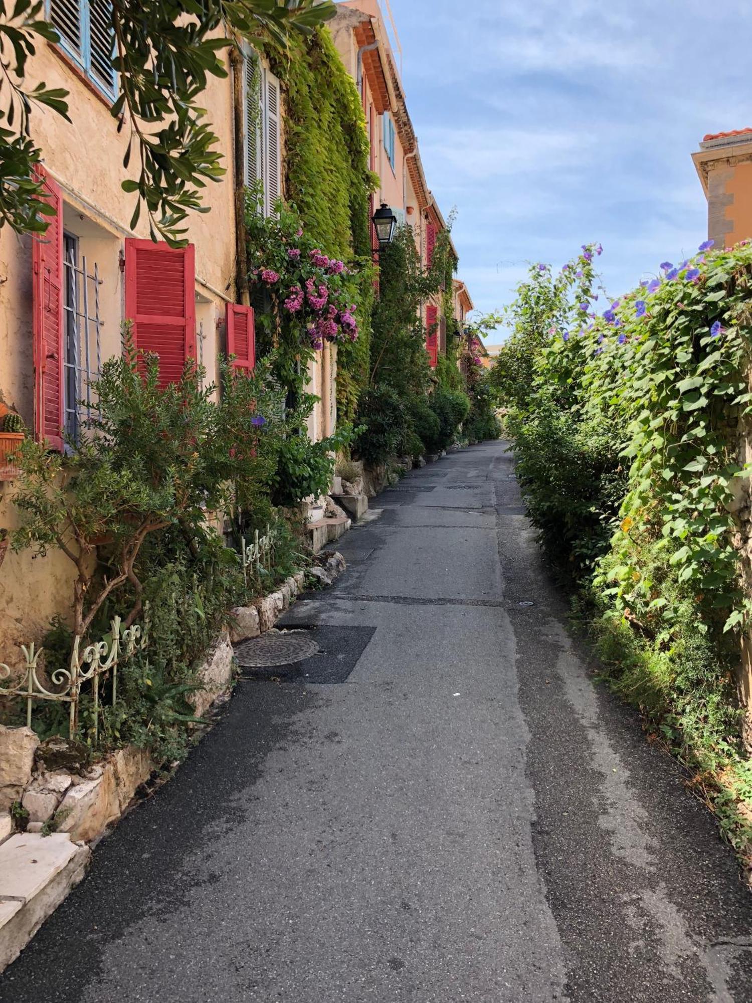 Bijou Apartment In Safranier - Old Town 昂蒂布 外观 照片